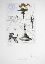 Salvador Dali (1904-1989) - The Taming Of The Shrew