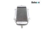 Radiateur Links Piaggio | Vespa GT 200 Granturismo 2003-2006, Motoren, Onderdelen | Overige, Verzenden, Gebruikt