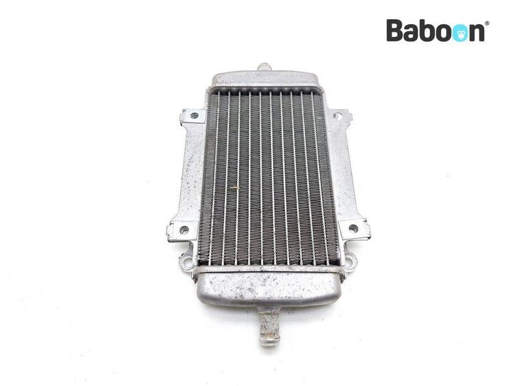 Radiateur Links Piaggio | Vespa GT 200 Granturismo 2003-2006, Motoren, Onderdelen | Overige, Gebruikt, Verzenden