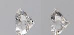 2 pcs Diamant (Natuurlijk) - 0.60 ct - Rond - D (kleurloos), Nieuw