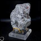 Zeldzame natuurlijke meteoriet Campo del Cielo IJzer