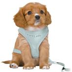 Trixie Hondentuig Junior Puppy Softtuig Met Riem Mintgroen, Verzenden, Nieuw