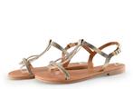 Scapa Sandalen in maat 40 Goud | 10% korting, Kleding | Dames, Scapa, Overige kleuren, Verzenden, Sandalen of Muiltjes