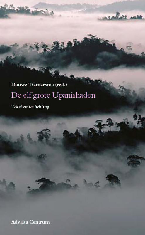 De elf grote Upanishaden 9789077194010 Douwe Tiemersma, Boeken, Filosofie, Gelezen, Verzenden