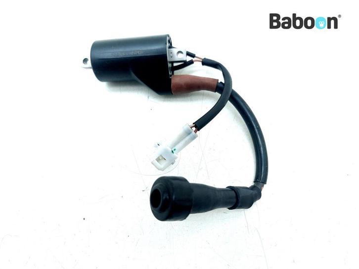 Bobine Royal Enfield Meteor 350 2021->, Motoren, Onderdelen | Overige, Gebruikt, Verzenden