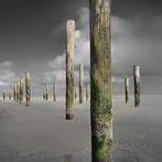 Wiepke Folkerts - Light
