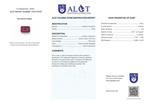 Geen reserveprijs - ALGT-gecertificeerd - Natuurlijke en