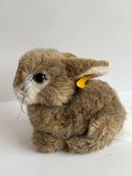 Steiff - Teddybeer Lulac Schlenkerhase 6281/25, Poppel, Antiek en Kunst
