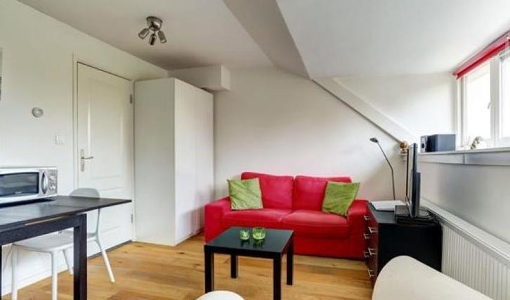 Te Huur Studio Barentszstraat In Den Haag, Huizen en Kamers, Kamers te huur, 20 tot 35 m², Den Haag