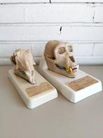 Lesmateriaal - Dierenhoofden - Gibbon en Konijn - 1950-1960