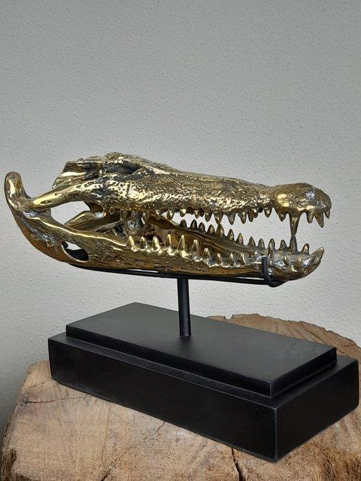 Beeld, Unieke bronzen krokodillen schedel - op standaard -, Verzamelen, Mineralen en Fossielen