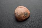 Oud-Romeins, Keizerrijk Terracotta Ticket voor het oude, Antiek en Kunst
