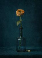 Tessa Posthuma de Boer - Rose no, 4