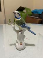 Meissen - Beeldje - A blue tit bird perched on a tree branch, Antiek en Kunst