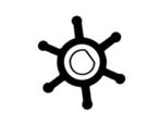 Impeller Neoprene, Watersport en Boten, Bootonderdelen, Ophalen of Verzenden, Nieuw, Motor en Techniek, Zeilboot of Motorboot