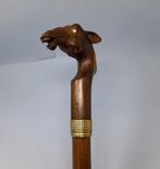 Wandelstok - Hout