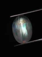 Natural Moonstone - tricolor adularescence - 4.315 ct - oval, Nieuw