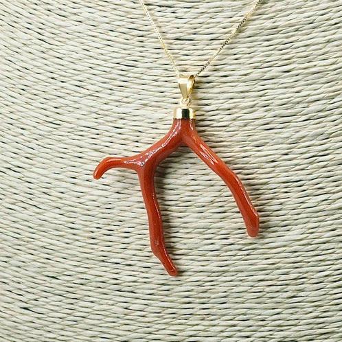 Bloedkoraal - Verguld, Zilver - Ketting met hanger -, Verzamelen, Dierenverzamelingen