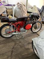 Motobi - Motobi Zanzani Corsa - 5 marce - 175 cc - 1968, Motoren, Motoren | Oldtimers