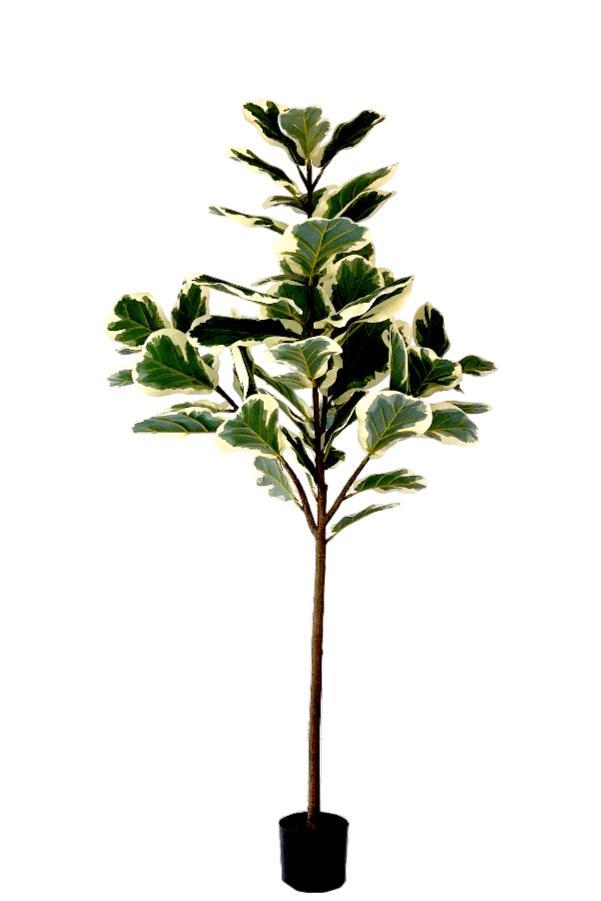 Kunstplant Ficus Lyrata Deluxe 160cm (Kunstplanten), Huis en Inrichting, Overige Huis en Inrichting, Nieuw, Verzenden