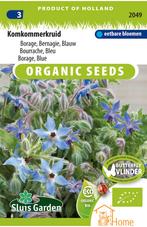 Komkommerkruid Borage Zaden: Kweek Heerlijke, Aromatische, Verzenden