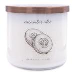 Colonial Candle - Everyday Luxe Cucumber Aloe - sojablend, Verzenden, Nieuw