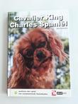 Cavalier King Charles Spaniel - NIEUW