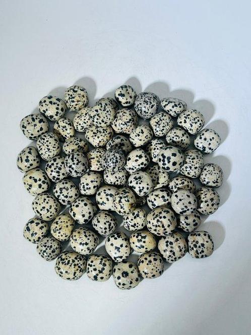 ***GEEN BOD*** Dalmatian (Kiwi) Jasper Tumbles | 58–60 stuks, Verzamelen, Mineralen en Fossielen