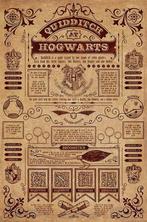 Poster Harry Potter Quidditch At Hogwarts 61x91,5cm, Verzamelen, Posters, Verzenden, Nieuw, A1 t/m A3