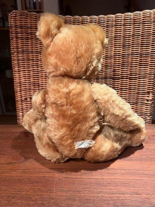 Pedigree - Teddybeer - 1950-1960 - Ierland, Antiek en Kunst, Antiek | Speelgoed