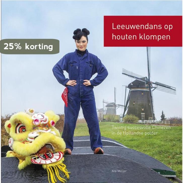 Leeuwendans op houten klompen 9789082023503 Are Meijer, Boeken, Overige Boeken, Gelezen, Verzenden