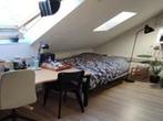 Studio Goudlaan in Groningen, Overige soorten, Groningen