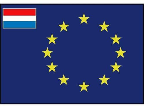 Raad van Europa vlag met inprint vlag van Nederland, Watersport en Boten, Bootonderdelen, Nieuw, Zeilboot of Motorboot, Ophalen of Verzenden