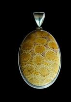 koraalfossiel Sieraden - Hoogte: 5 cm - Breedte: 3 cm- 18.9