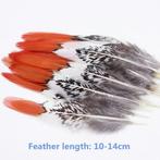 Luxe Veertjes II1 voor Dromenvanger ca. 15 stuks, Ophalen of Verzenden, Nieuw