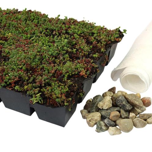 Sedumcassette | Per M2 | Incl. onderdoek en grind - Per m2, Tuin en Terras, Planten | Bomen, Ophalen of Verzenden