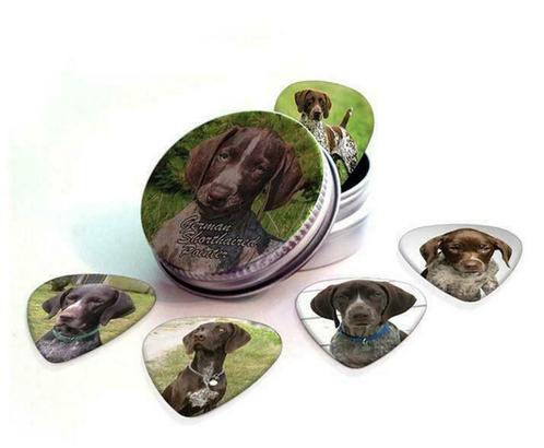 Blikje + plectrums afbeelding Duitse Korthaar Pointer hond, Verzamelen, Overige Verzamelen, Nieuw, Ophalen of Verzenden