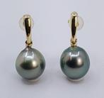 Oorbellen - 14 karaat Geel goud - 10x11mm Tahitiaanse Parel, Nieuw