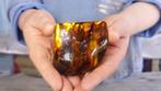Baltische barnsteen - Druppelvorm met florale insluitsels -