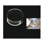 AquaHolland REEFSPY - plexiglas drijvend kijkglas 250x75mm h, Ophalen of Verzenden, Nieuw
