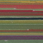 Bernhard Lang - AV_Tulip_Fields_037