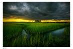 Elena Paraskeva - A Brewing Storm - XL, Antiek en Kunst