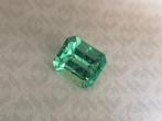 1 pcs Groen Smaragd - 2.24 ct - International Gemological, Nieuw