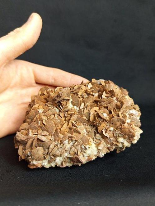 Sideriet met Dolomiet (Mijn Brosso, Valchiusella, Turijn,, Verzamelen, Mineralen en Fossielen