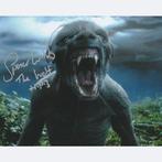 Harry Potter - Signed by Spencer Wilding (Werewolf Lupin), Nieuw