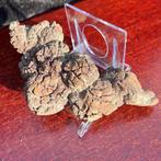 199 g 9,80 x 4,60 cm fossiele uitwerpselen (coproliet) van