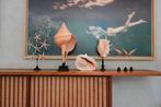 Set van 3 Tibia Fusus op aangepaste standaards - Zeeschelp -
