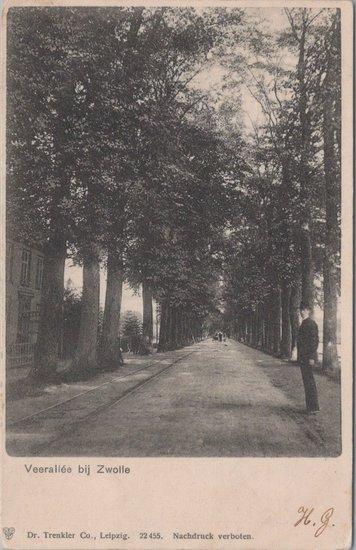 ZWOLLE - Veerallée bij Zwolle, Verzamelen, Ansichtkaarten | Nederland, Verzenden
