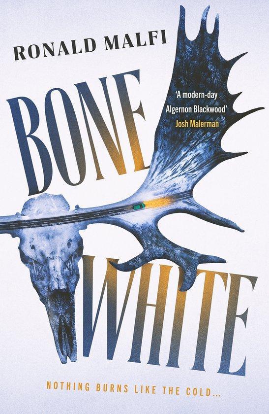 Bone White 9781804366738 Ronald Malfi, Boeken, Taal | Engels, Gelezen, Verzenden