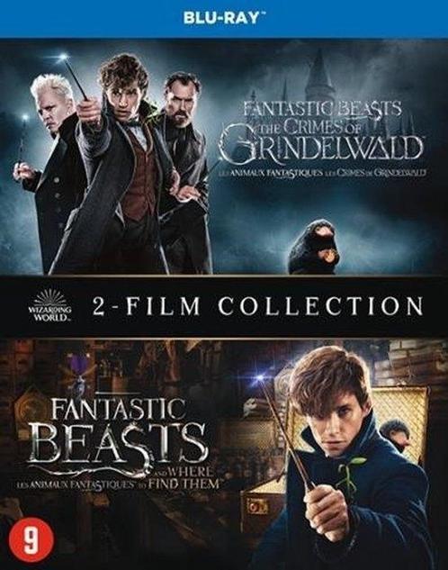 Fantastic Beasts 1&2 (Blu-ray) - Blu-ray, Cd's en Dvd's, Blu-ray, Verzenden